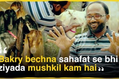 Bakry bechna sahafat se bhi ziyada mushkil kam hai