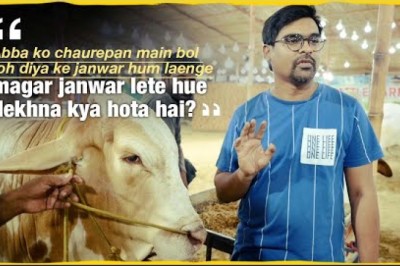 Abba ko chaurepan main bol toh diya ke janwar hum laenge magar janwar lete hue dekhna kya hota hai?