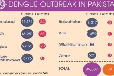 Rising dengue cases set off alarm bells